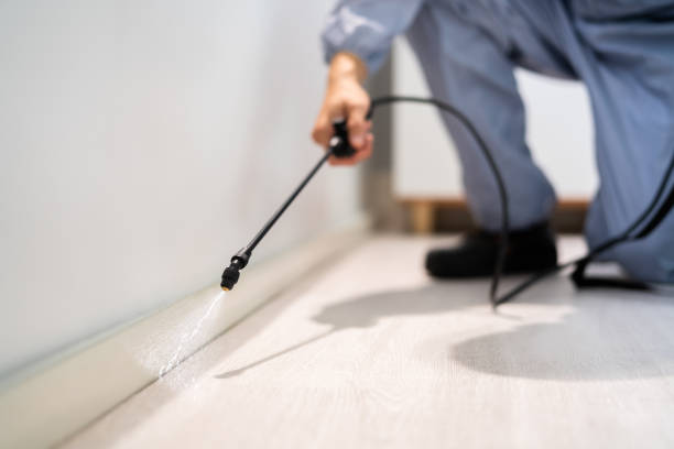 Licensed Pest Control service in Sistersville, WV - Show Me Pest Control